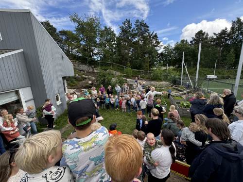 offisiell åpning av pallekassene med bærbusker, rabarbra, jordbær, løk, bringebær m.m.